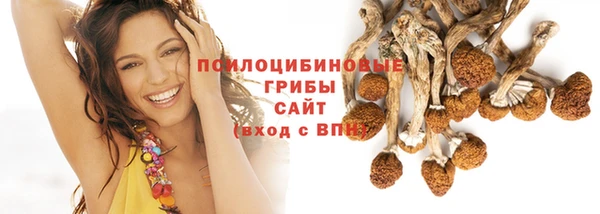 спиды Белоозёрский
