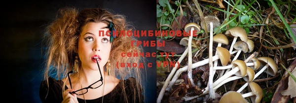 мескалин Белокуриха