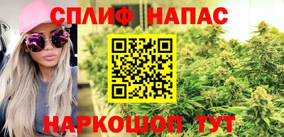 ALPHA PVP Гудермес