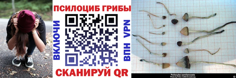 Галлюциногенные грибы мухоморы Верхняя Пышма