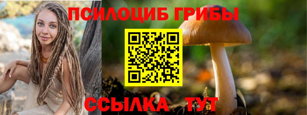 Галлюциногенные грибы Psilocybe  Вход с VPN  Галлюциногенные грибы ЛСД  Верхняя Пышма 